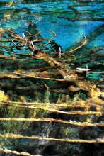 爱*呵护*珍重文集