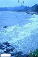 爱在一瞬间文集