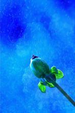 爱情海的余温文集