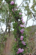 爱上不聪明文集