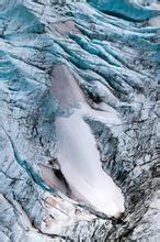 被水淹死的鱼文集