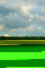 北国红豆snw文集