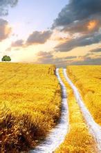 彼岸的小水文集