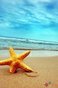 冬天的小雨文集