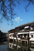 独往独来2008文集