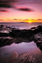 大海山谷荒原文集