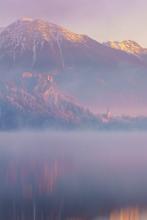 白色的紫薇花文集