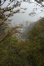 笨笨喝绿茶文集