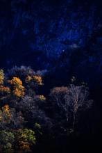 DYP路过人间文集