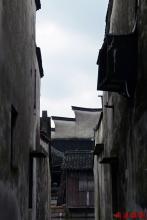 东山日出带雨文集