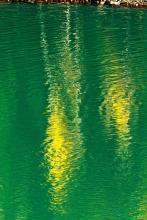 大胡子狂人文集