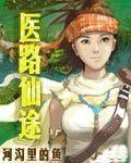 医路仙途