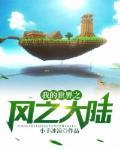 我的世界之风之大陆