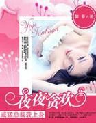 坏坏老公请温柔：夜夜贪欢