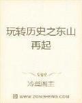 玩转历史之东山再起