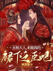 公主与盗贼的故事视频