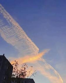 纵横九州手机版