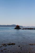 丢心的若水文集