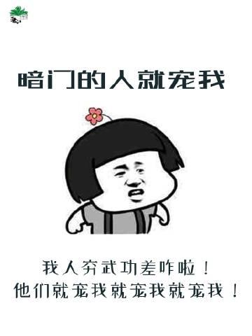 暗门的人就宠我