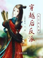 大宋匪徒
