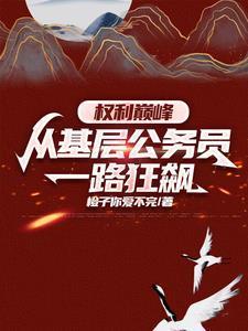 权力巅峰：从基层公务员一路狂飙