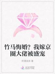 行刑人尔依美国电影