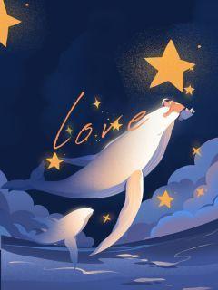 姚霜青陈齐林天琤