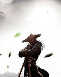 龙武战神双鱼txt