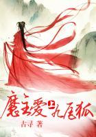 仙帝之上是什么境界