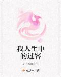 我人生中的过客