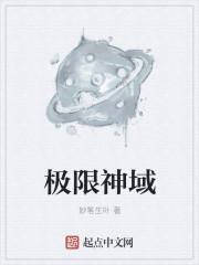 极限神域