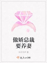 傲娇总裁要养妻