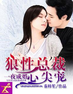 逆动刹车片怎么样